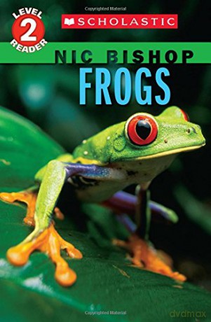 Frogs Scholastic Readers, Level 2 - Nic Bishop [KSIĄŻKA]