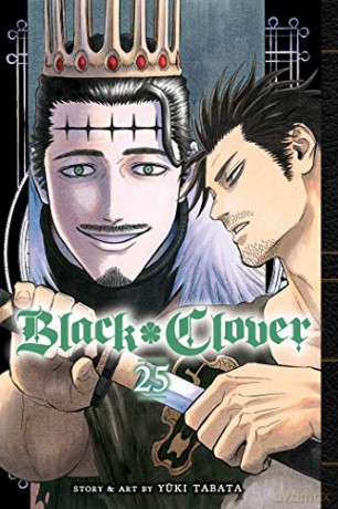 Black Clover, Vol. 25: Volume 25 - Yuki Tabata [KSIĄŻKA]