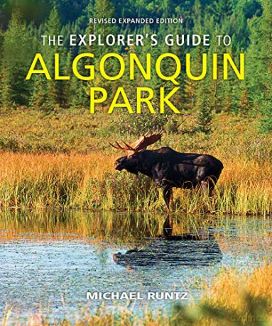 The Explorer's Guide To Algonquin Park - Michael Runtz [KSIĄŻKA]