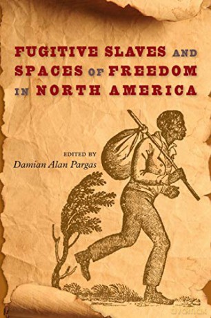 Fugitive Slaves and Spaces of Freedom in North America Southern Dissent [KSIĄŻKA]