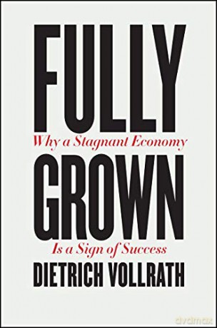 Fully Grown: Why a Stagnant Economy Is a Sign of Success - Dietrich Vollrath [KSIĄŻKA]