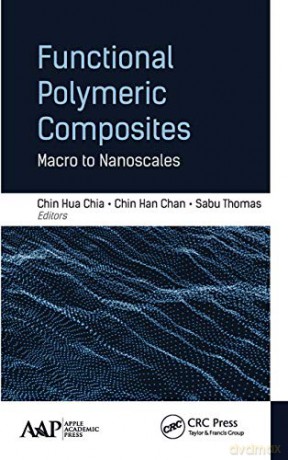 Functional Polymeric Composites: Macro to Nanoscales - Chin Hua Chia [KSIĄŻKA]