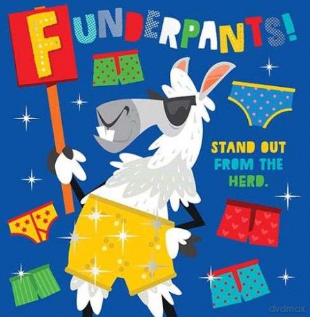 Funderpants! - Rosie Greening [KSIĄŻKA]