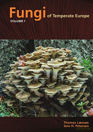 Fungi of Temperate Europe: Volume 1+2 - Thomas Laessoe [KSIĄŻKA]