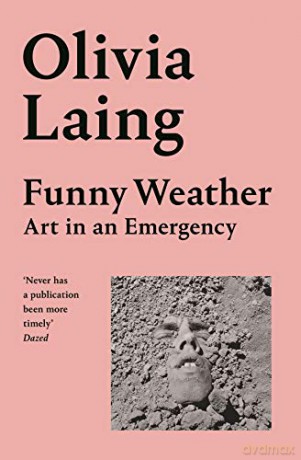 Funny Weather: Art in an Emergency - Olivia Laing [KSIĄŻKA]