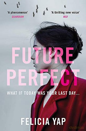 Future Perfect: The Most Exciting High-Concept Novel of the Year - Felicia Yap [KSIĄŻKA]