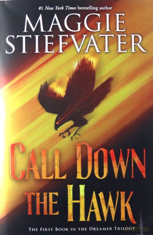 Call Down The Hawk (The Dreamer Trilogy, Book 1), 1 - Maggie Stiefvater [KSIĄŻKA]