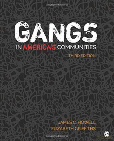 Gangs in America's Communities - James C. Howell [KSIĄŻKA]
