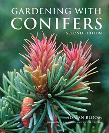 Gardening with Conifers - Adrian Bloom [KSIĄŻKA]