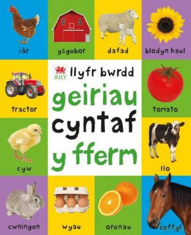 Geiriau Cyntaf Fferm - Roger Priddy [KSIĄŻKA]