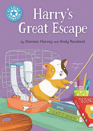Harry's Great Escape: Independent Reading Blue 4 (Reading Champion) - Damian Harvey [KSIĄŻKA]