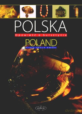 Polska Opowieść O Burszytnie - Barbara Kosmowska-Ceranowicz [KSIĄŻKA]