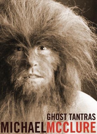 Ghost Tantras City Lights/Grey Fox - Michael McClure [KSIĄŻKA]