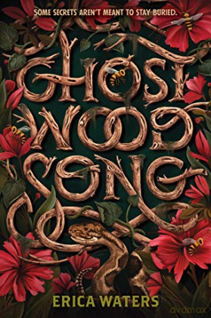 Ghost Wood Song - Erica Waters [KSIĄŻKA]