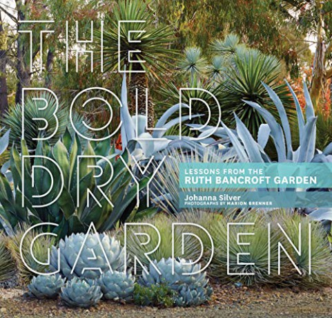 Bold Dry Garden, The: Lessons From The Ruth Bancroft Garden - Johanna Silver [KSIĄŻKA]