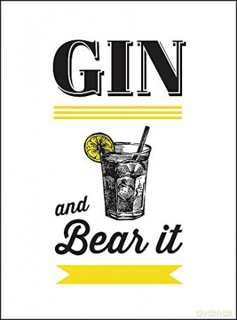 Gin and Bear It: The Perfect Gift for Mother's Day Drinks - Summersdale [KSIĄŻKA]