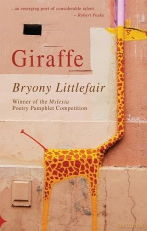 Giraffe - Bryony Littlefair [KSIĄŻKA]