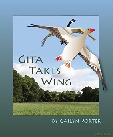 Gita Takes Wing - Gailyn Porter [KSIĄŻKA]