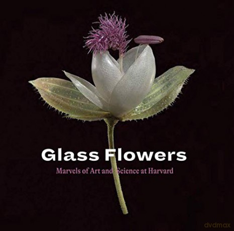 Glass Flowers: Marvels of Art and Science at Harvard - Jennifer Brown [KSIĄŻKA]
