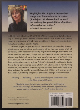 Glittering Images: A Journey Through Art from Egypt to Star Wars - Camille Paglia [KSIĄŻKA]