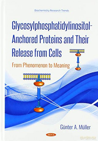 Glycosylphosphatidylinositol-Anchored Proteins and Their Release from Cells: From Phenomenon to Meaning Biochemistry Research Trends - Günter A. Müller [KSIĄŻKA]