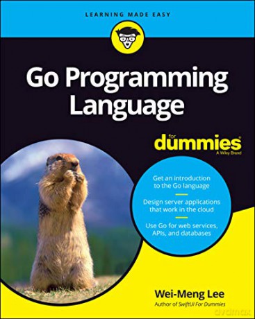 Go Programming Language For Dummies - Wei-Meng Lee [KSIĄŻKA]