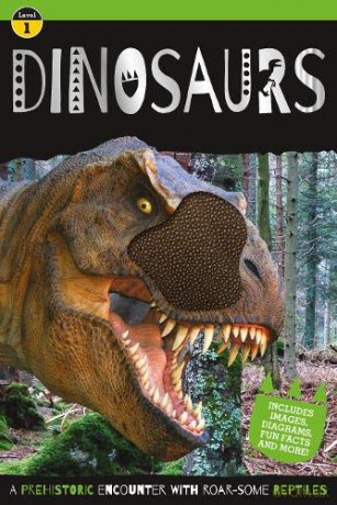 Go Wild Dinosaur - Make Believe Ideas [KSIĄŻKA]