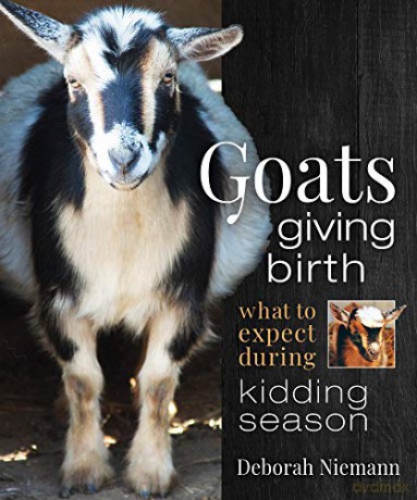 Goats Giving Birth: What to Expect during Kidding Season - Deborah Niemann [KSIĄŻKA]
