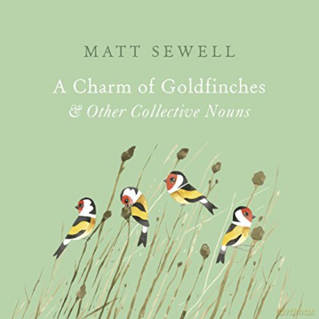 A Charm Of Goldfinches And Other Collective Nouns - Matt Sewell [KSIĄŻKA]