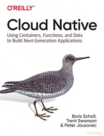 Cloud Native: Using Containers, Functions, And Data To Build Next-Generation Applications - Boris Scholl [KSIĄŻKA]