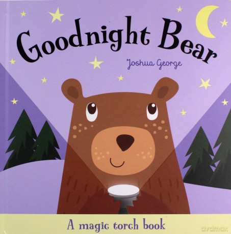 Goodnight Bear Magic Torch Books - Imagine That [KSIĄŻKA]