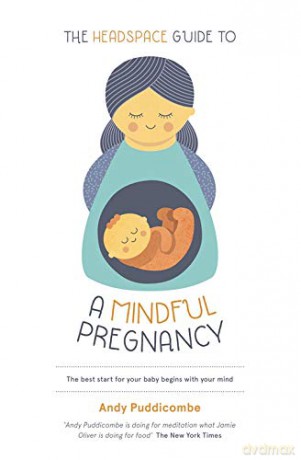 The Headspace Guide To...A Mindful Pregnancy: As Seen On Netflix - Andy Puddicombe [KSIĄŻKA]