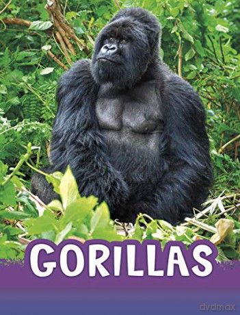 Gorillas Animals - Jaclyn Jaycox [KSIĄŻKA]