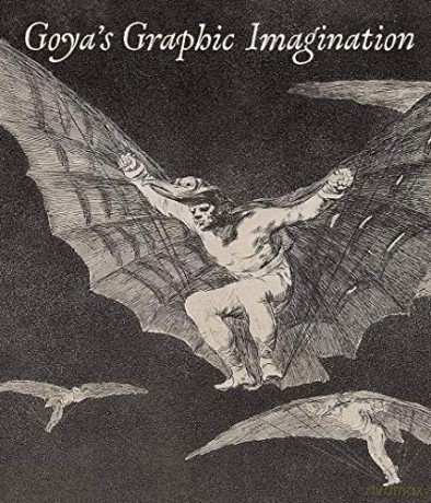 Goya`s Graphic Imagination - Mark Mcdonald [KSIĄŻKA]