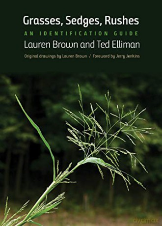 Grasses, Sedges, Rushes: An Identification Guide - Lauren Brown [KSIĄŻKA]