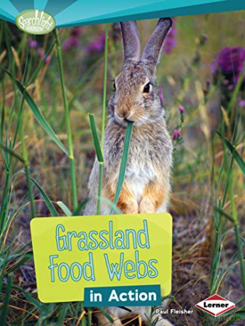 Grassland Food Webs in Action Searchlight Books What is a Food Web - Paul Fleischer [KSIĄŻKA]