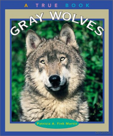 Gray Wolves True Books - Patricia A. Fink Martin [KSIĄŻKA]