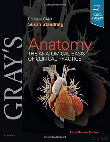 Gray's Anatomy: The Anatomical Basis of Clinical Practice - Susan Standring PhD DSc [KSIĄŻKA]