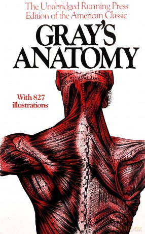 Gray's Anatomy: The Unabridged Running Press Edition Of The American Classic - Henry Gray [KSIĄŻKA]