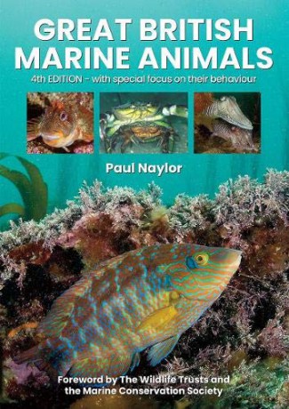 Great British Marine Animals - Paul Naylor [KSIĄŻKA]