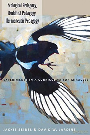 Ecological Pedagogy, Buddhist Pedagogy, Hermeneutic Pedagogy; Experiments In A Curriculum For Miracles (452) (Counterpoints: Studies In Criticality) - David W. Jardine [KSIĄŻKA]