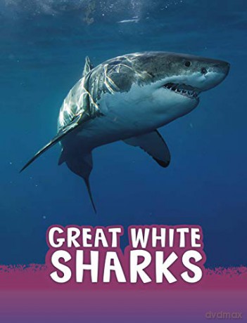 Great White Sharks Animals - Jaclyn Jaycox [KSIĄŻKA]