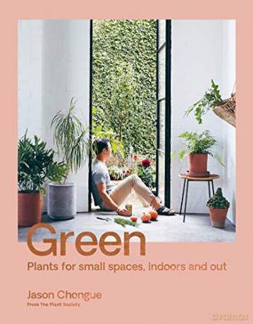 Green: Plants for small spaces, indoors and out - Jason Chongue [KSIĄŻKA]