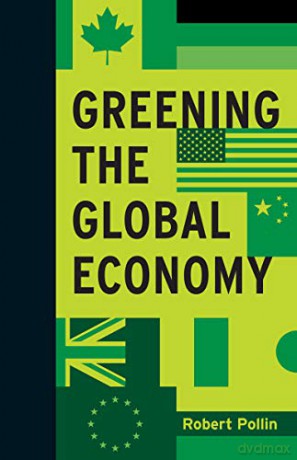 Greening the Global Economy Boston Review Books Boston Review Originals - Deborah Chasman [KSIĄŻKA]