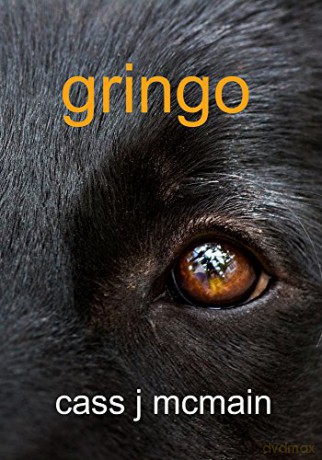 Gringo - Cass J. McMain [KSIĄŻKA]