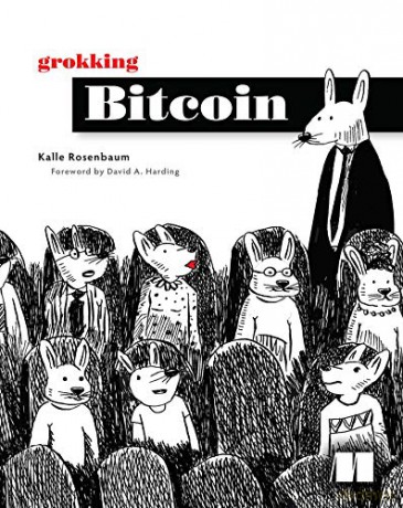Grokking Bitcoin - Kalle Rosenbaum [KSIĄŻKA]
