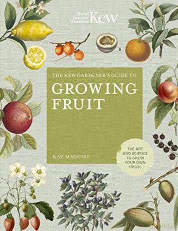 Growing Fruit: Kew Mini: The art and science to grow your own fruit Kew Experts - Kay Maguire [KSIĄŻKA]