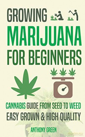 Growing Marijuana for Beginners: Cannabis Growguide - From Seed to Weed - Anthony Green [KSIĄŻKA]
