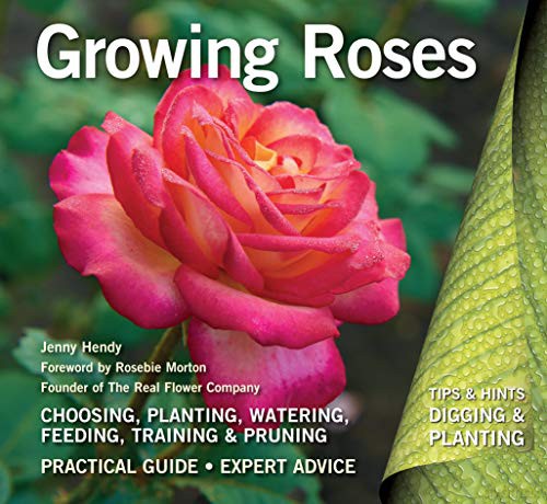 Growing Roses: Plan, Plant and Maintain Digging and Planting - Jenny Hendy [KSIĄŻKA]
