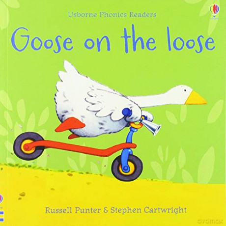 Goose On The Loose (Phonics Readers): 1 - Russell Punter [KSIĄŻKA]